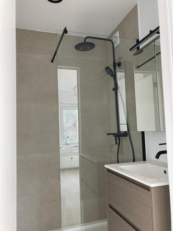 Luxurious bathroom with elegant shower and modern sink.