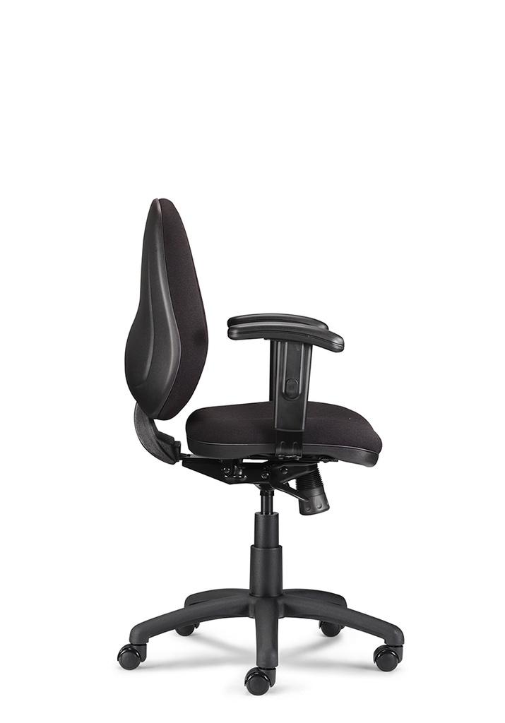 EWE-ErgoMaster Premium swivel chair