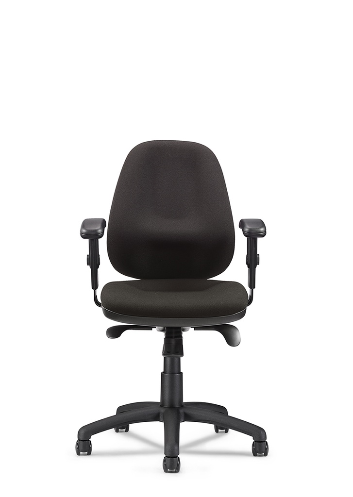 EWE-ErgoMaster Premium swivel chair