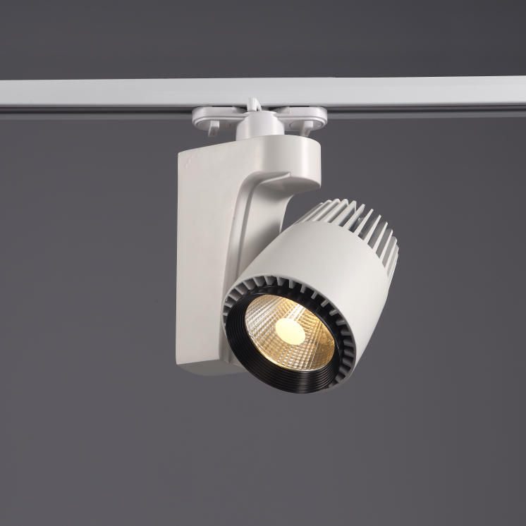 white track light