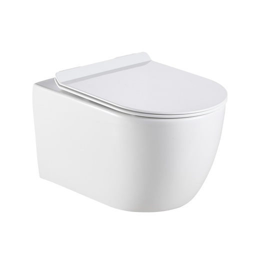 Wall Hung Toilet 102N