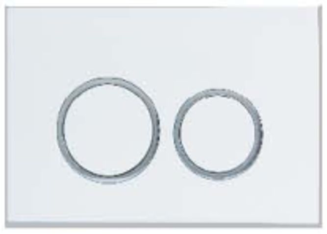 Toilet Flush Plate G3004111